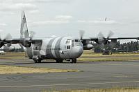 Netherlands C-130 Photos