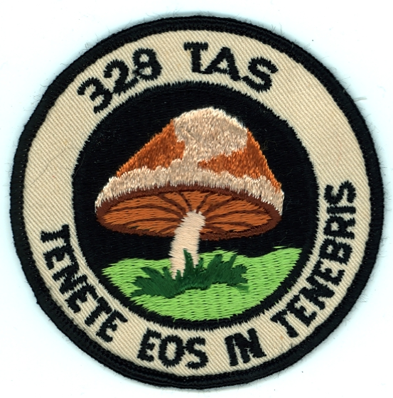 328th Tactical Airlift Squadron-c