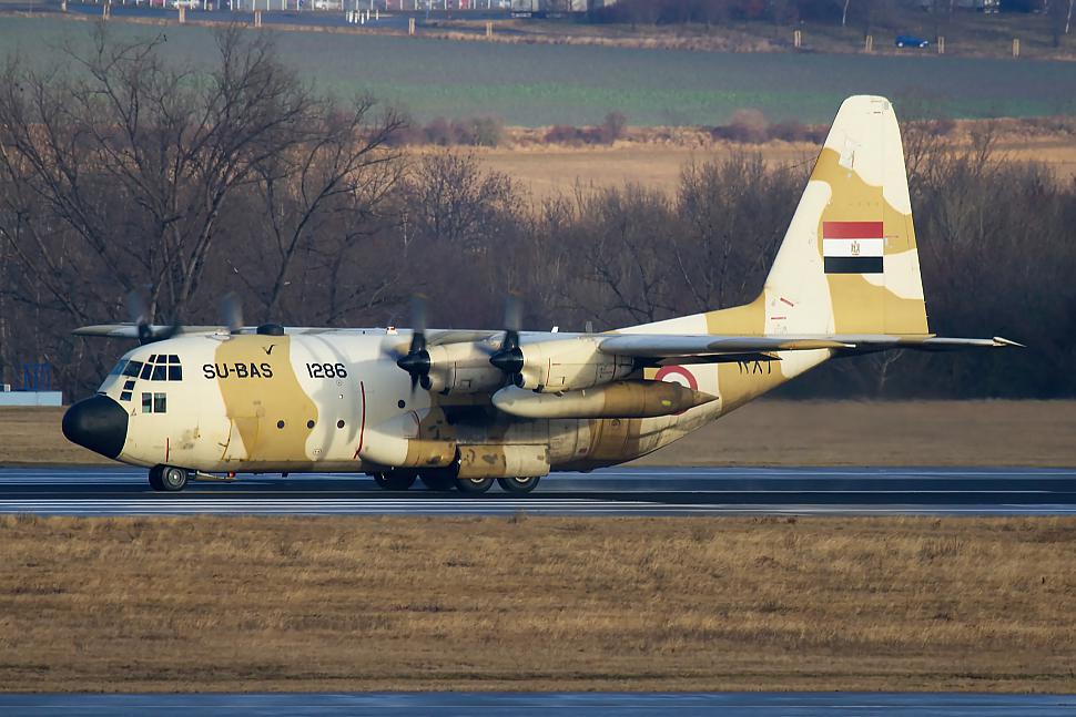 C130H 1286 Egyptian Air Force 1 1 w